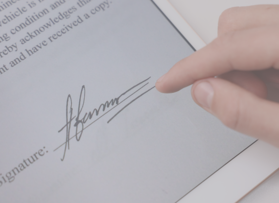 [승소 사례] 공공기관 대리 입찰담합에 따른 손해배상 청구 소송 전부 승소